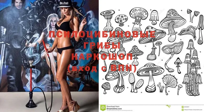 Псилоцибиновые грибы Magic Shrooms  MEGA зеркало  Раменское 